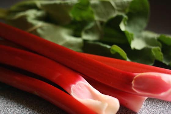 fresh rhubarb for homemade cake