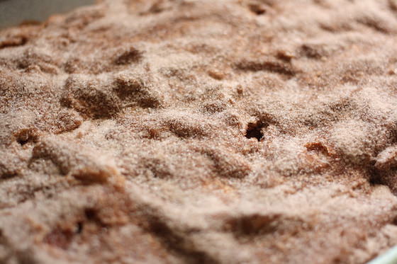 rhubarb cake with sugar cinnamon topping