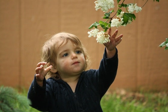 1 year old picking flowers in yard