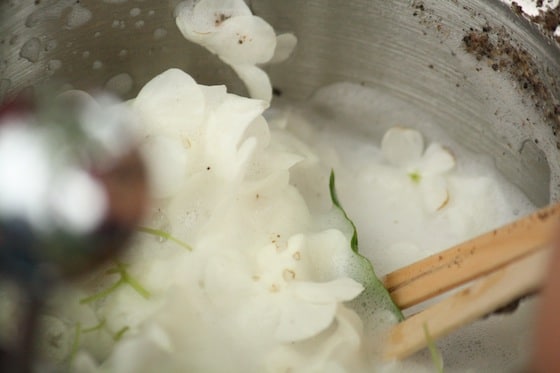 close up flowers in soapy foam