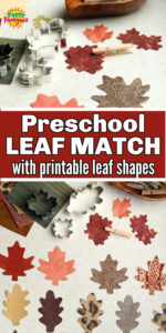 Fall Leaf shapes for preschool matching activity long pin