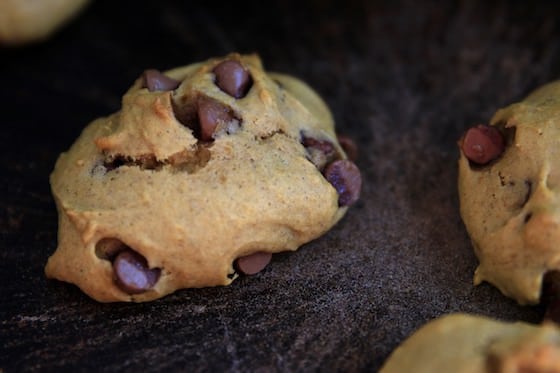 pumpkin chocolate chip cookie