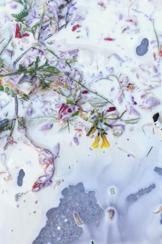 flowers and leaves in bin of homemade ooblek