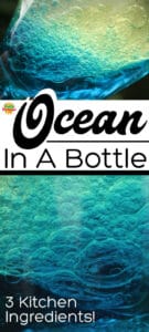 Ocean in a Bottle Sensory or Discovery Bottle for Kids