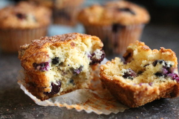 blueberry oat muffin close up horizontal