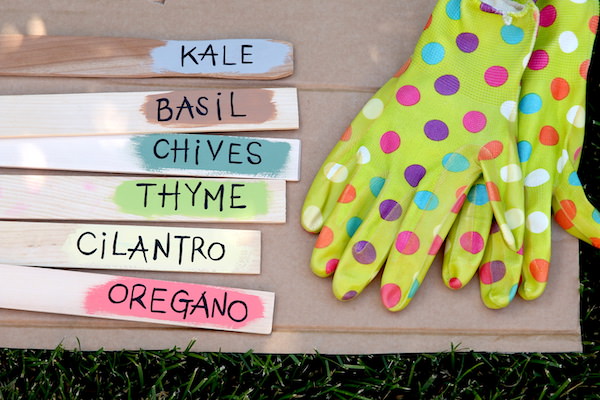 paint sticks with herb names painted beside gardening gloves