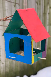 painted cardboard bird feeder feature img