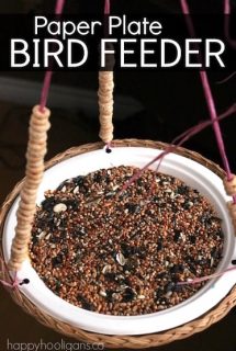 Paper Plate Bird Feeder for Kids to Make