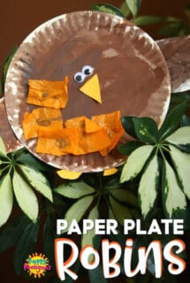 paper plate robin craft for toddlers and preschoolers