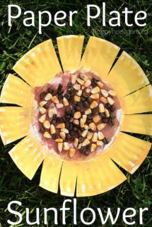 Paper Plate Sunflower - great preschool fall craft or for a Letter "S" unit - happy hooligans