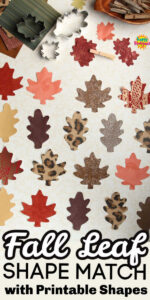 Pinnable Fall Leaf Shape Match