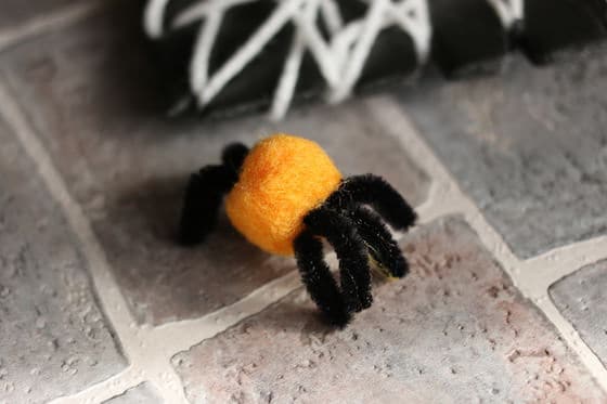 pom pom spider