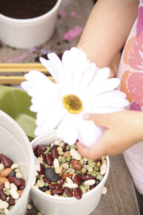 child pretending to plant flower in vase filled with dried lentils and coffee grounds