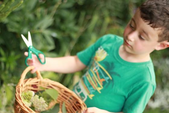 Preschooler prepring for leaf printing activity