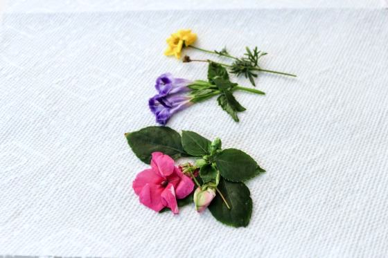 pressed flowers for mason jar lanterns