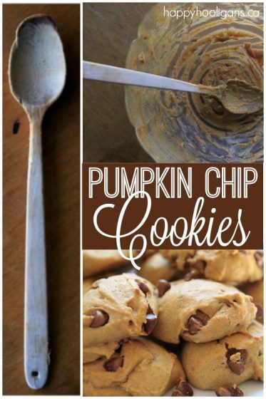 Pumpkin Chocolate Chip Cookie Recipe