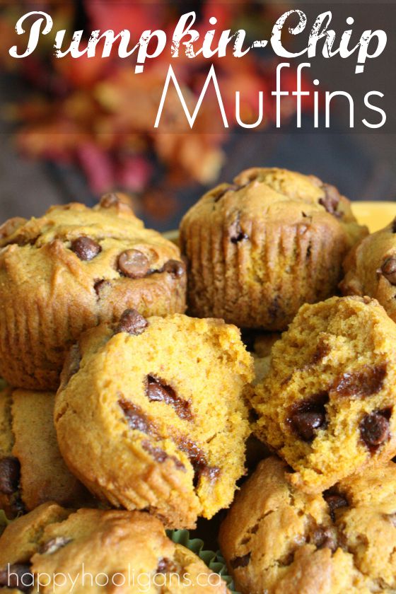 Pumpkin Chocolate Chip Muffins - Happy Hooligans