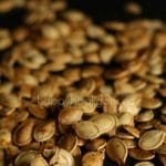 Perfectly Roasted Pumpkin Seeds