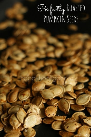 roasted pumpkin seeds close-up