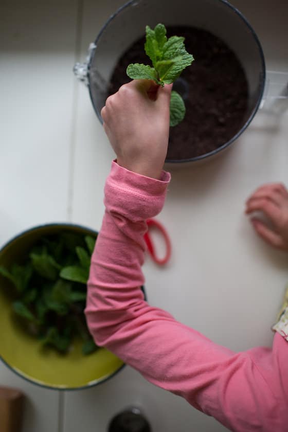 putting mint leaves in oreo flowerpot cakes