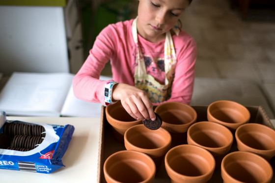 putting oreos in flowerpots