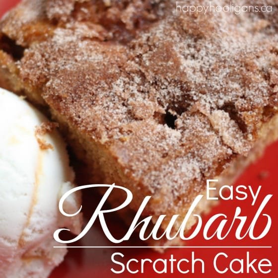 Rhubarb Cake from Scratch