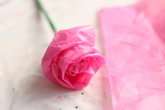 Single tissue paper rose