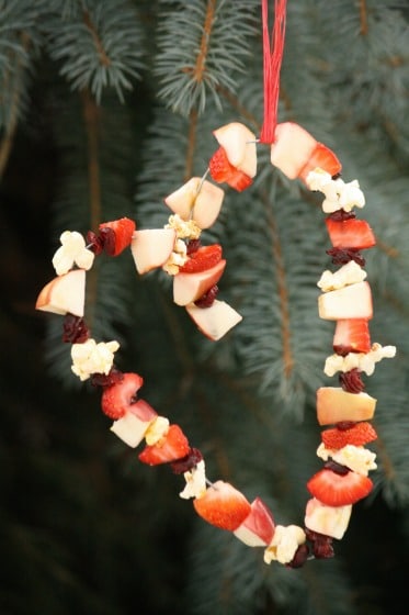 heart shaped bird feeder with berries and apples and popcorn