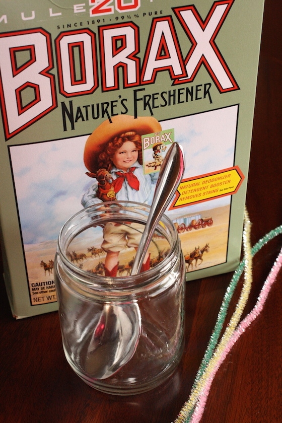 supplies for borax and pipe cleaner ornaments