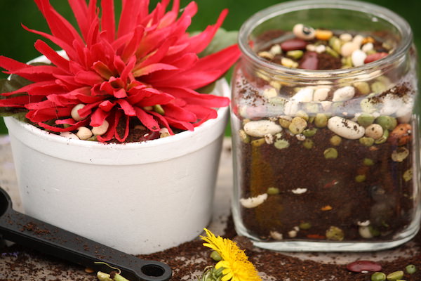 artificial flowers, containers, dried lentils, coffee grounds, scoop