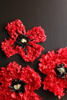 tissue paper poppy craft feature image