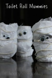 Toilet roll mummies