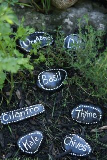 herb markers arranged vertically in herb garden