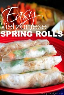 Vietnamese Spring Rolls Recipe - Happy Hooligans