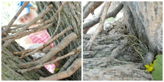 fairy house made of twigs